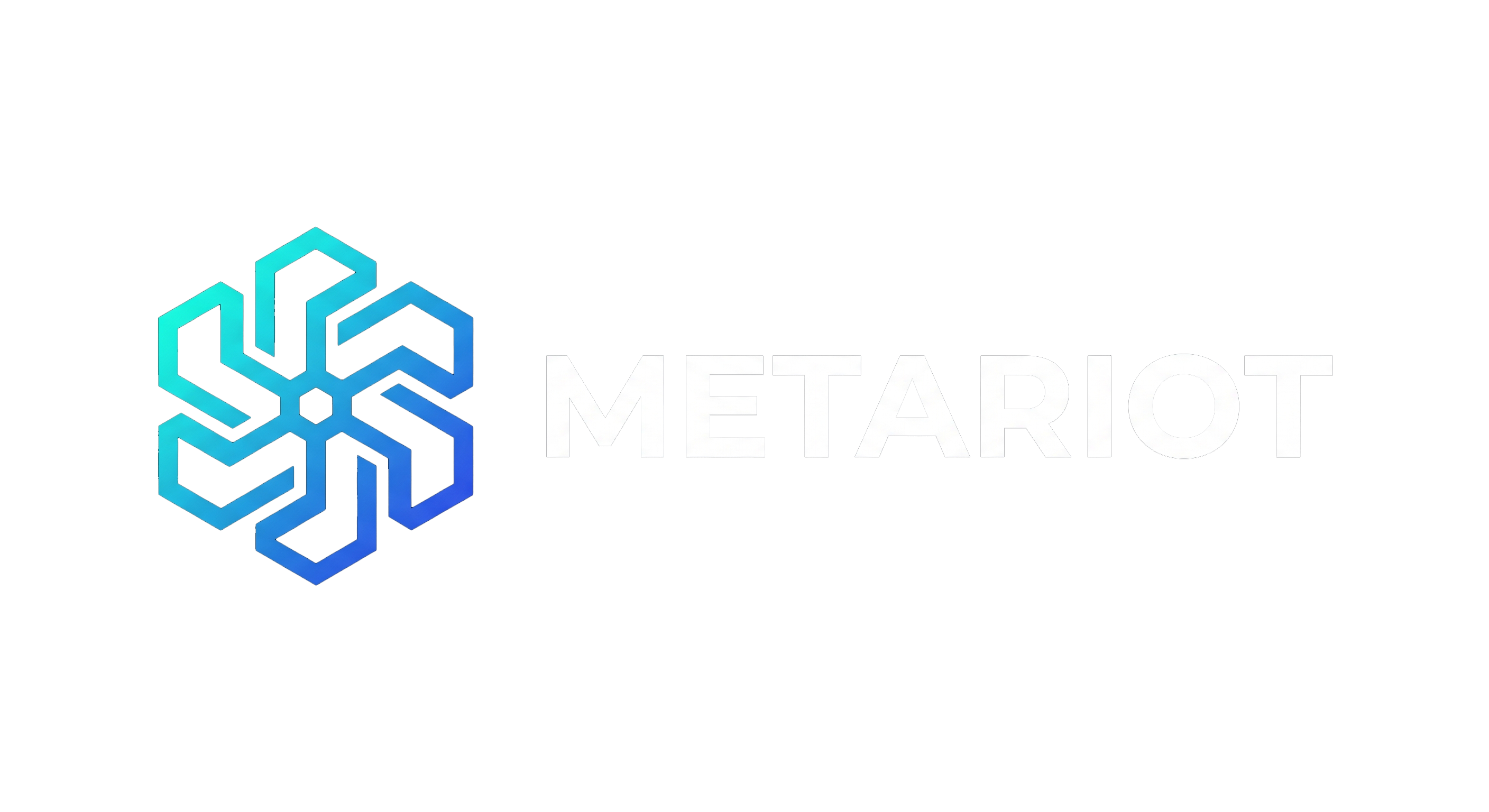 MetaRiot